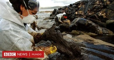 “Fue probablemente el mayor acto de amor colectivo en defensa de la naturaleza