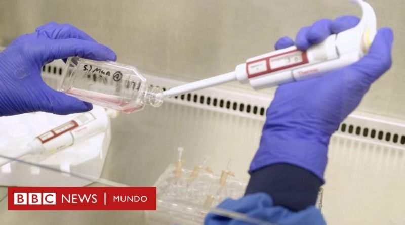 Los pacientes que recibieron sangre artificial en un ensayo clínico 