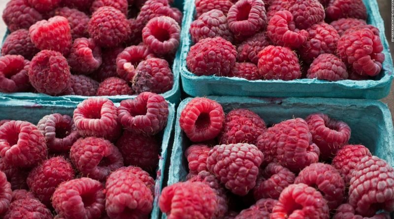 Los robots recolectores de frambuesas podrían ayudar a transformar la producción de alimentos