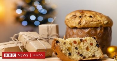 Cuál es el origen del panetón y cómo se convirtió en uno de los dulces navideños más consumidos en Sudamérica - BBC News Mundo