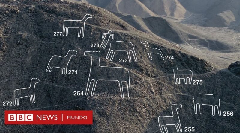 Las 168 nuevas figuras descubiertas junto a las líneas de Nazca - BBC News Mundo