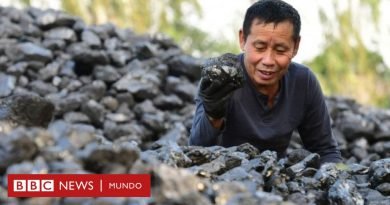 Los países que recibirán miles de millones de dólares por dejar de usar combustibles contaminantes - BBC News Mundo