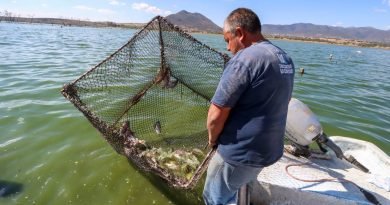 Presa de Santa Catarina: la última reserva pesquera de la capital queretana