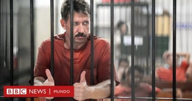 Quién es Viktor Bout, el 