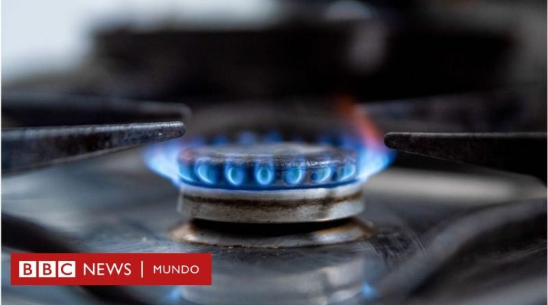 El acalorado debate sobre las cocinas de gas que se convirtió en un tema político en EE.UU. - BBC News Mundo