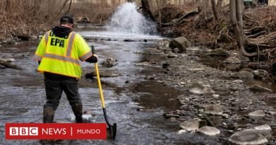 Cerca de 45.000 animales murieron por el derrame de químicos después del descarrilamiento de un tren en Ohio - BBC News Mundo