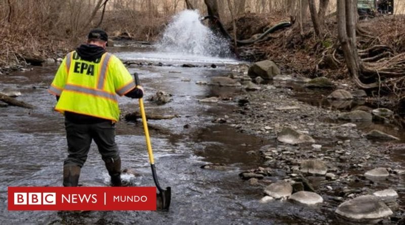 Cerca de 45.000 animales murieron por el derrame de químicos después del descarrilamiento de un tren en Ohio - BBC News Mundo