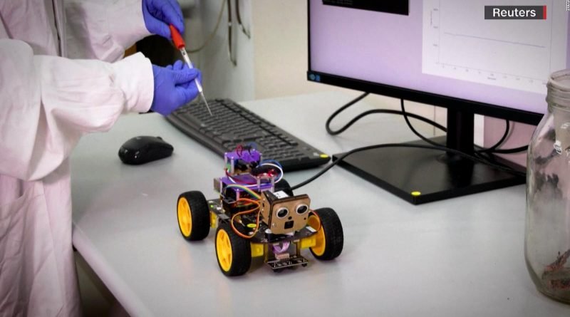 Conoce los robots con antenas de langosta y gran olfato