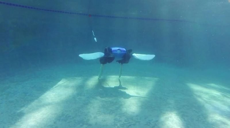 Esta increíble tortuga robot podría proteger el medio ambiente
