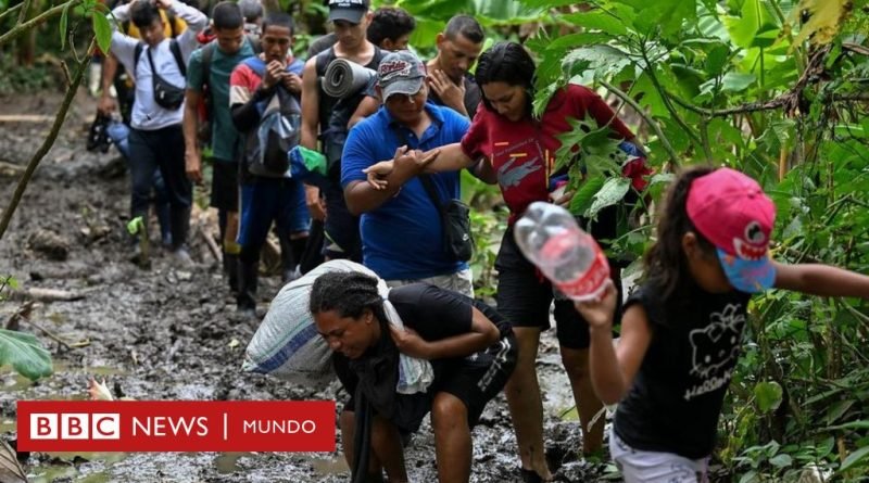 4 factores que explican por qué los ecuatorianos son ahora los sudamericanos que más cruzan la selva del Darién camino a EE.UU. - BBC News Mundo