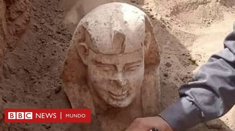 La curiosa esfinge 