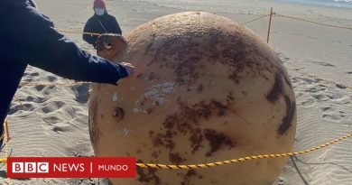 La misteriosa bola gigante hallada en una playa de Japón - BBC News Mundo