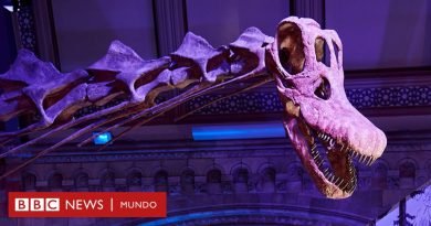 El colosal dinosaurio de Argentina que llega al Museo de Historia Natural de Londres - BBC News Mundo