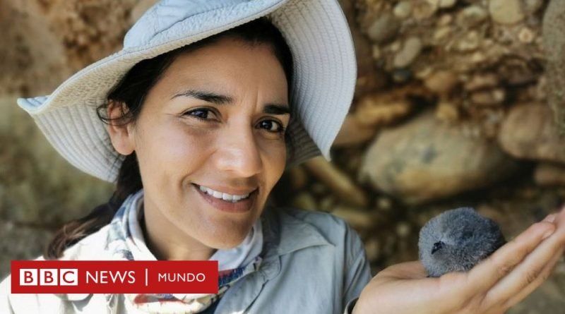 Yuliana Bedolla, la científica mexicana premiada en Londres por proteger a las 