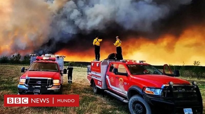 Cuán grandes son los incendios que azotan Canadá y llenan de humo Nueva York - BBC News Mundo