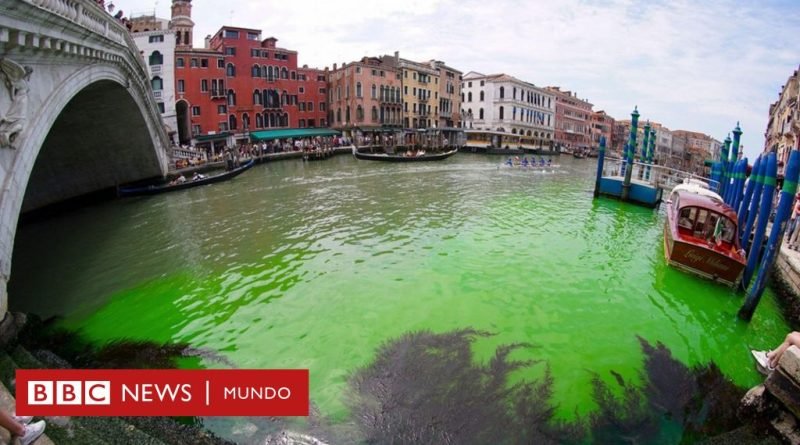 Descubren por qué las aguas se tornaron verde fosforescente en un tramo de los canales de Venecia - BBC News Mundo