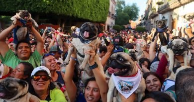 La pugmanía se adueña de las calles del Centro Histórico