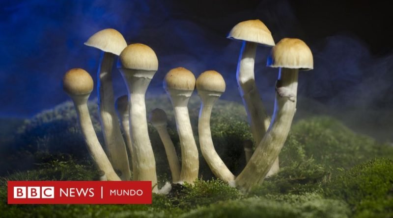 Australia se convierte en el primer país del mundo en usar sustancias psicodélicas para tratar la depresión y el estrés postraumático  - BBC News Mundo