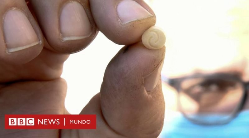 Investigación de la BBC: la multimillonaria red de tráfico de drogas en Medio Oriente que involucra a la familia de Bashar al-Assad, presidente de Siria

 - BBC News Mundo