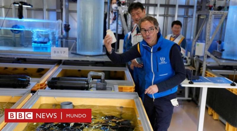 La contundente respuesta de China al plan de Japón para desechar las aguas residuales de la planta nuclear de Fukushima en el océano - BBC News Mundo