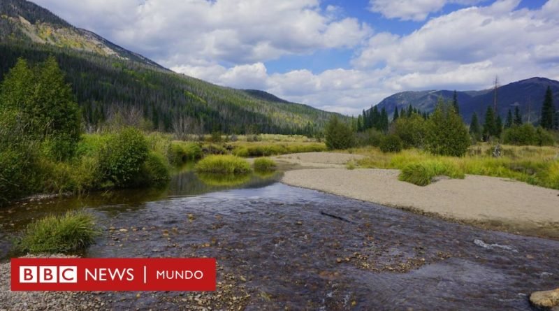 La familia que quiso vivir lejos de la civilización y terminó muriendo en las Montañas Rocosas de Colorado - BBC News Mundo