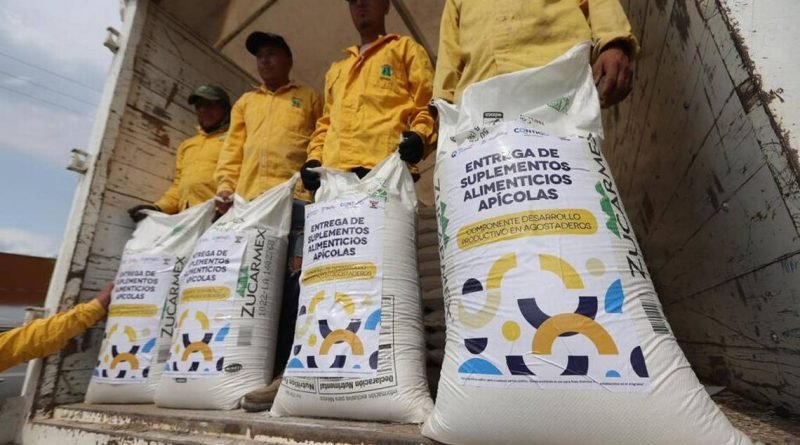 Apicultores marquesinos reciben apoyos de Sedea