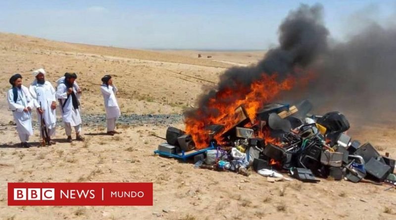 El Talibán en Afganistán: la foto que muestra la quema de instrumentos musicales por parte del liderazgo afgano - BBC News Mundo