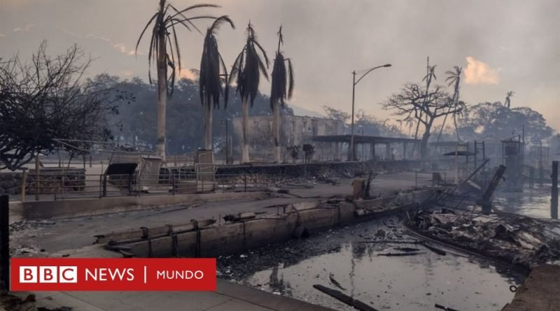 Hawái: las impresionantes imágenes de los incendios que han dejado al menos 53 muertos - BBC News Mundo