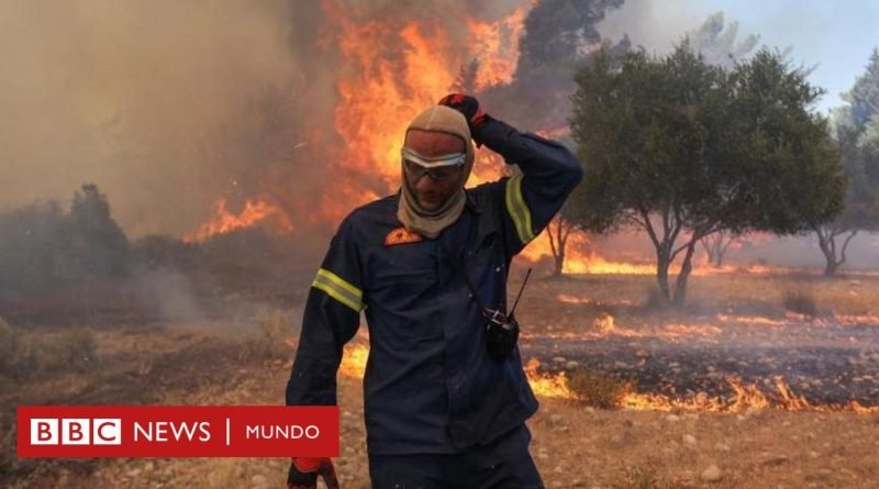 Incendios en Europa:  las llamas sin control ya dejan más de 40 muertos en el Mediterráneo - BBC News Mundo