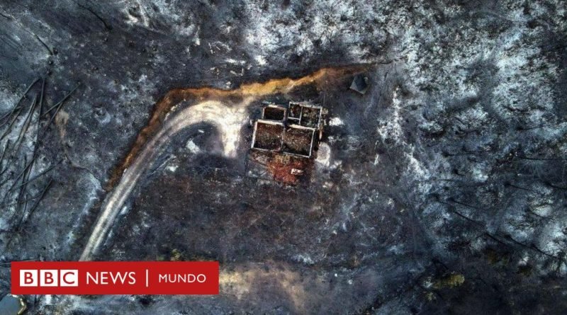 Incendios en Grecia: encuentran 18 muertos en un bosque arrasado por las llamas - BBC News Mundo