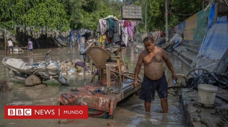 6 datos que evidencian el verano extremo que abrasó o inundó parte del mundo - BBC News Mundo