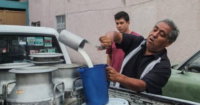 La mirada de Irais Sánchez | El oficio de la lechería sigue vivo