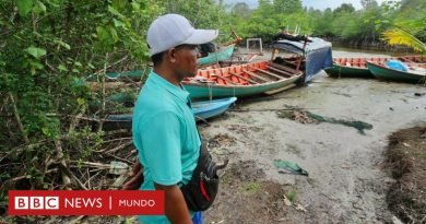 China: las oscuras empresas  de la nación asiática que controlan partes del territorio de Camboya - BBC News Mundo