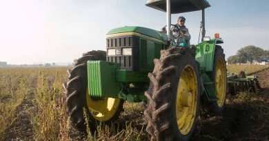 Siniestradas, 4,900 hectáreas de cultivo en Querétaro