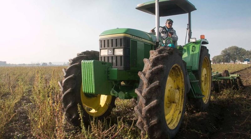 Siniestradas, 4,900 hectáreas de cultivo en Querétaro