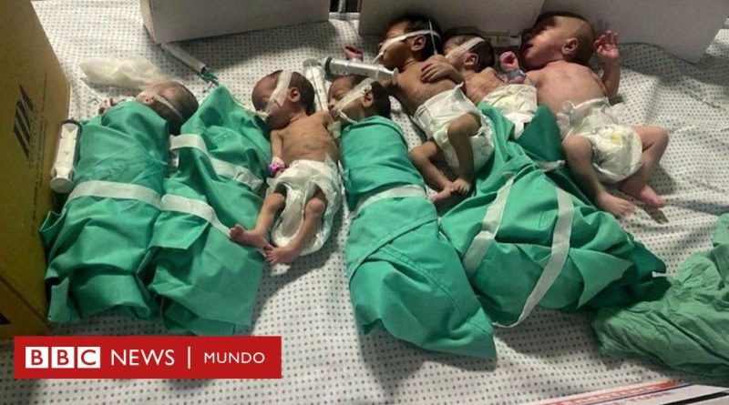Guerra Israel - Hamás: las dramáticas condiciones en las que sobreviven decenas de bebés prematuros en el hospital Al Shifa de Gaza tras la operación israelí en su interior - BBC News Mundo
