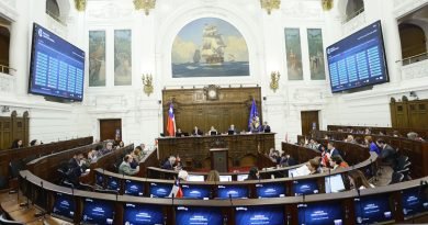 La Constitución del miedo: la pregunta por el fin del momento constituyente