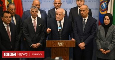 Guerra Israel - Hamás: la Asamblea General de la ONU aprueba por mayoría una resolución que pide un alto el fuego en Gaza con el voto en contra de EE.UU.  - BBC News Mundo