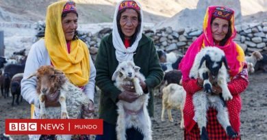 La aldea perdida donde las mujeres se juegan la vida en las montañas y los hombres se quedan en casa cultivando - BBC News Mundo