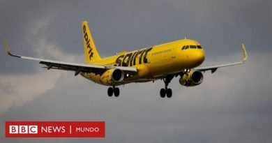 El niño de 6 años que viajaba sin la compañía de un adulto y fue puesto en un vuelo equivocado en EE.UU. - BBC News Mundo