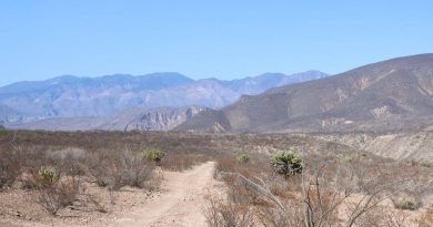 Bordos continúan sin agua en la Sierra Gorda y Semidesierto