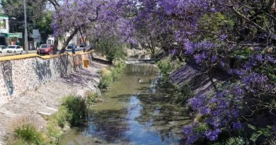 Emite malos olores el río Querétaro