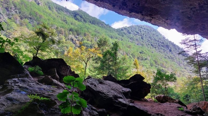 Sequía arrasa con fauna en la Sierra Gorda de Querétaro