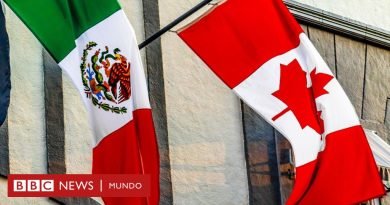 Visa de Canadá: por qué Ottawa vuelve a imponer el documento de viaje a los turistas mexicanos y cuáles son los requisitos les piden ahora - BBC News Mundo