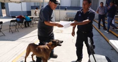 Comienzan las Jornadas de Esterilización para Perros y Gatos