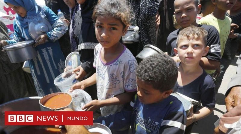 Israel - Hamás | “Es la octava vez que tenemos que desplazarnos”: el éxodo permanente al que los palestinos de Gaza han sido forzados por la guerra - BBC News Mundo