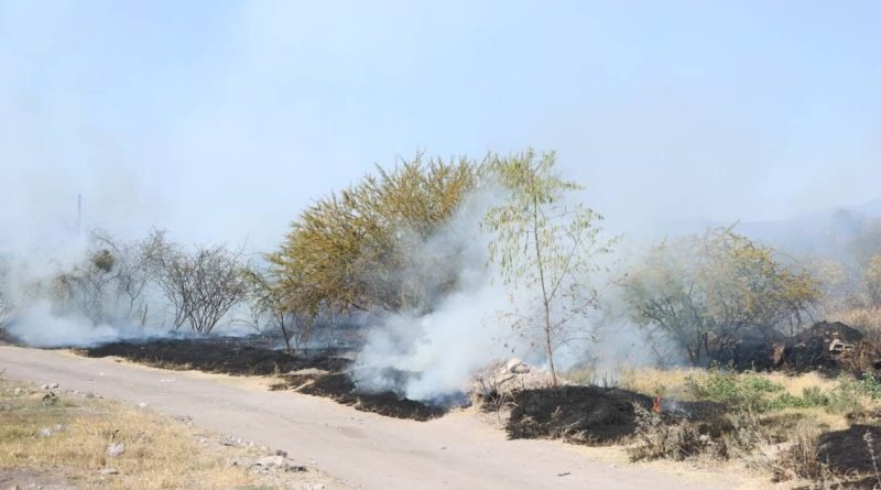 Más incendios forestales; van 59 en 4 meses