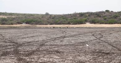 San Isidro no trajo la lluvia 