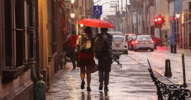 Baja Alberto de tormenta a depresión tropical