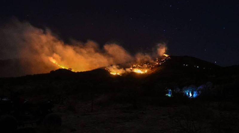 Conafor reporta un incendio en la Sierra Gorda